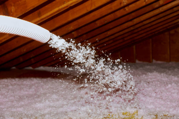Best Insulation Maintenance and Repair in Cassville, WV